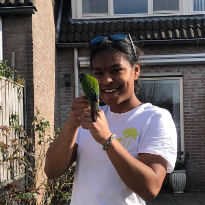 Tamisha is looking for a Rental Property / Apartment / Room in Tilburg